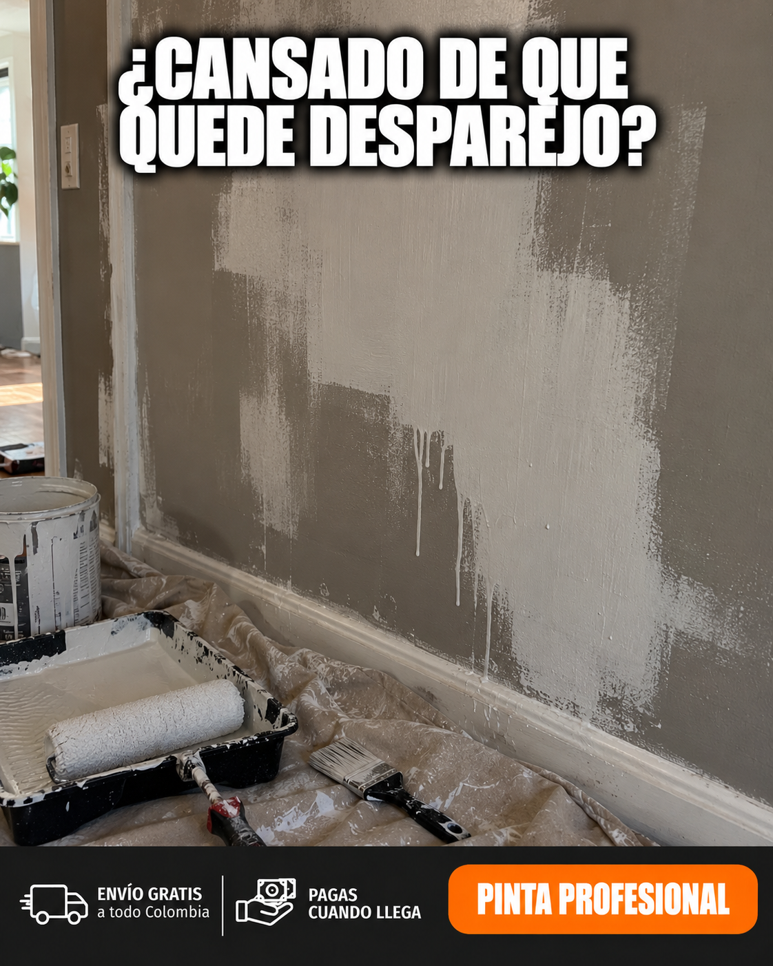 Pistola De Pintura Inalámbrica 2 Baterias