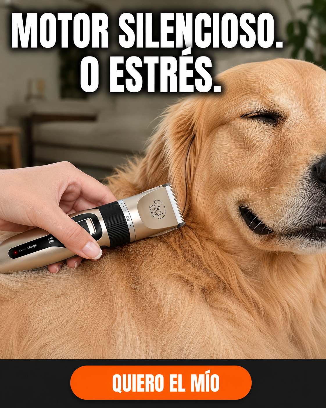 Kit De Peluqueria Para Mascotas